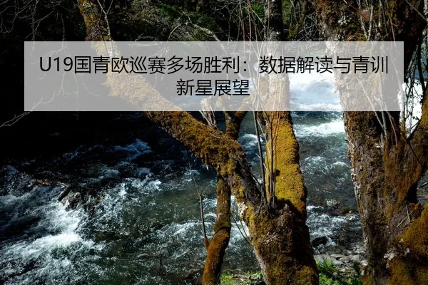 guo-qing-ou-xun-sai-duo-chang-sheng-li-shu-ju-jie-du-yu-qing-xun-xin-xing-zhan-wang-2-451.jpg